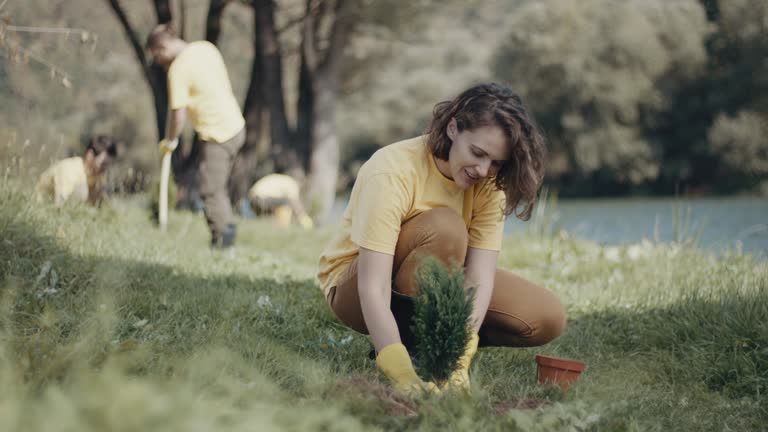 Best Lawn Disease Treatment  in Los Molinos, CA